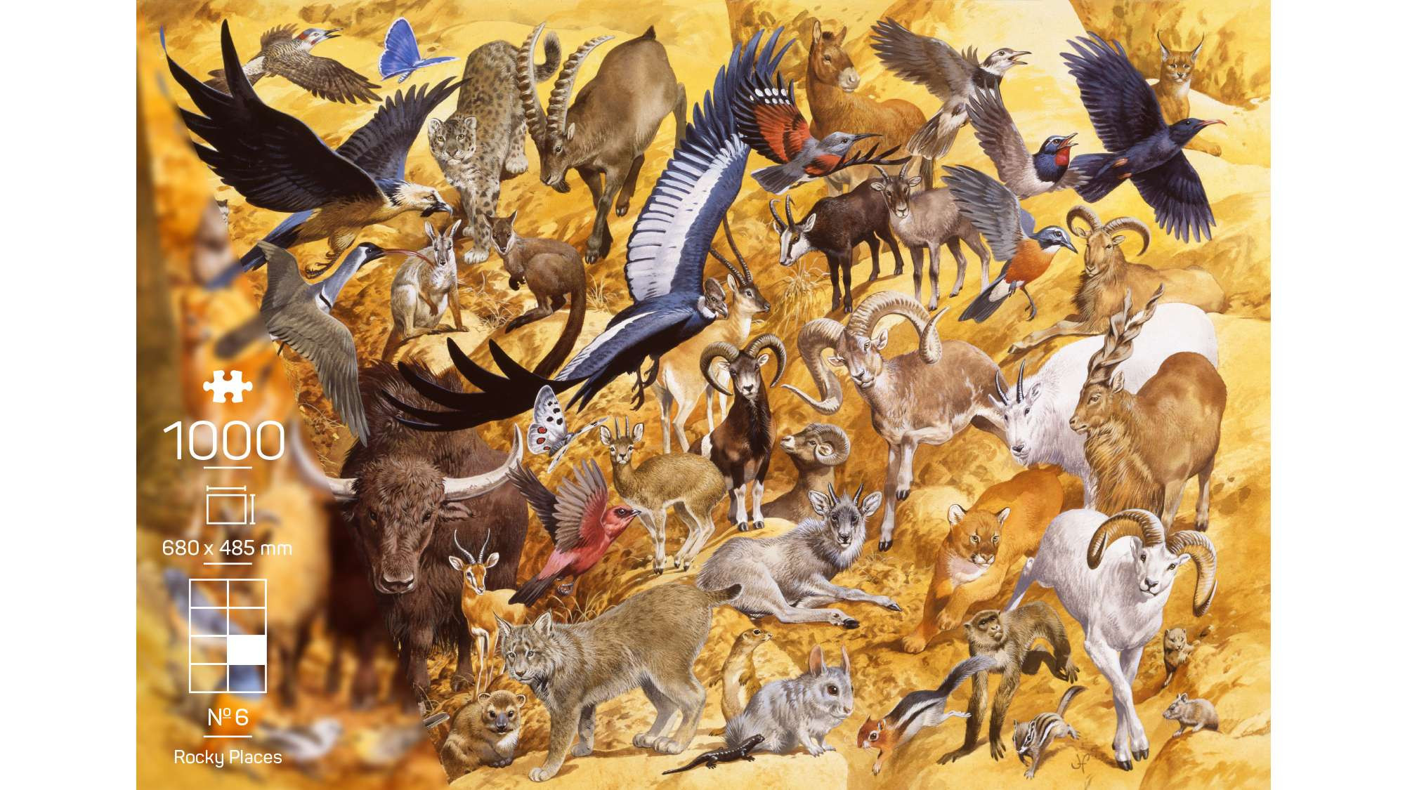 The Wildlife Collection – Nr. 6 Rocky Places